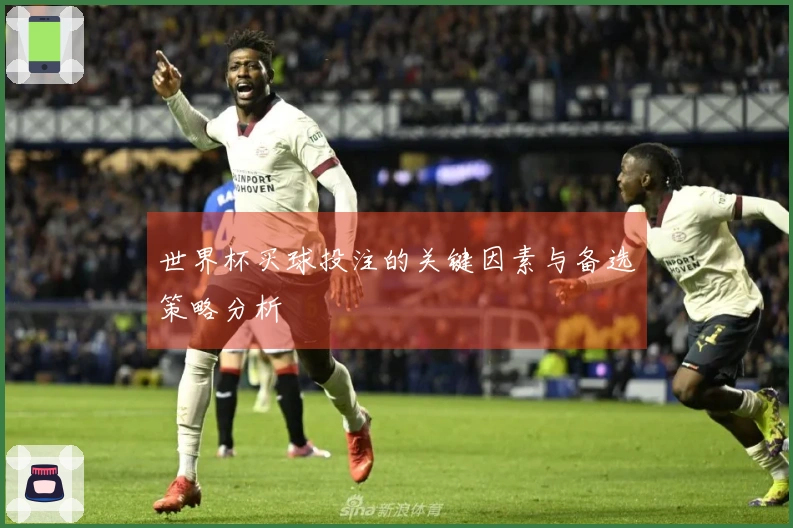 世界杯买球投注的关键因素与备选策略分析