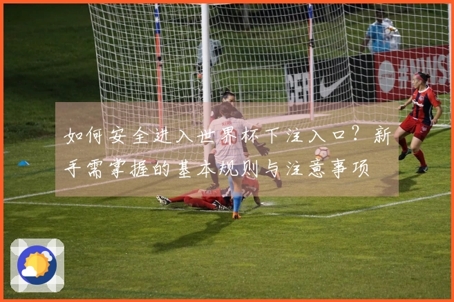 如何安全进入世界杯下注入口？新手需掌握的基本规则与注意事项