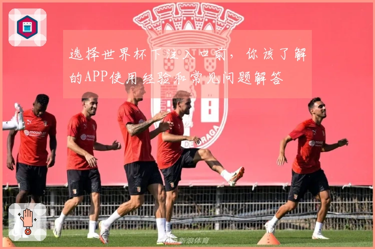 选择世界杯下注入口前,你该了解的APP使用经验和常见问题解答