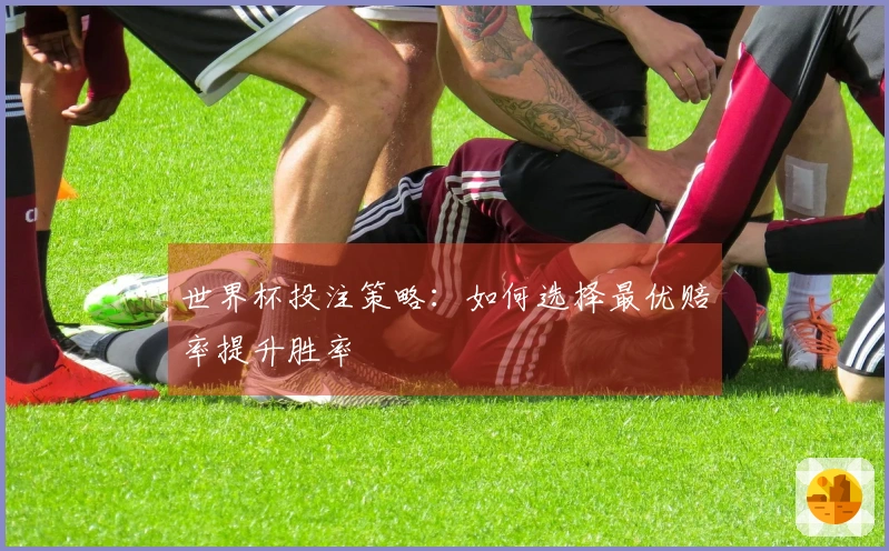 世界杯投注策略：如何选择最优赔率提升胜率