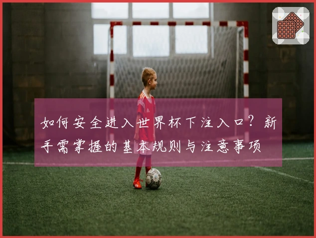 如何安全进入世界杯下注入口?新手需掌握的基本规则与注意事项