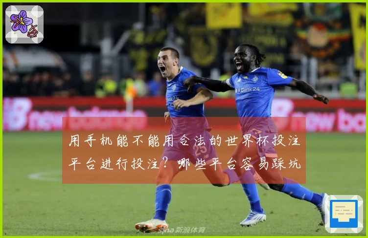 用手机能不能用合法的世界杯投注平台进行投注？哪些平台容易踩坑